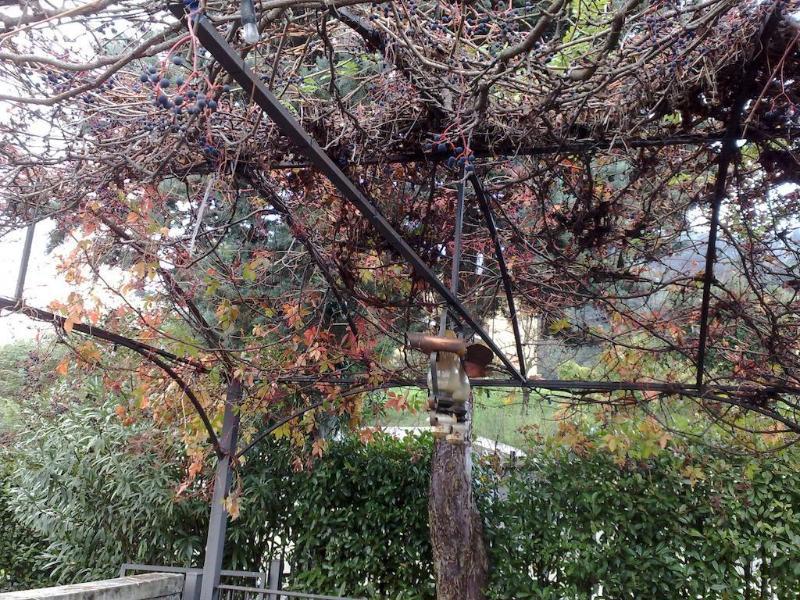 Villa Soleil Colleretto Giacosa Esterno foto